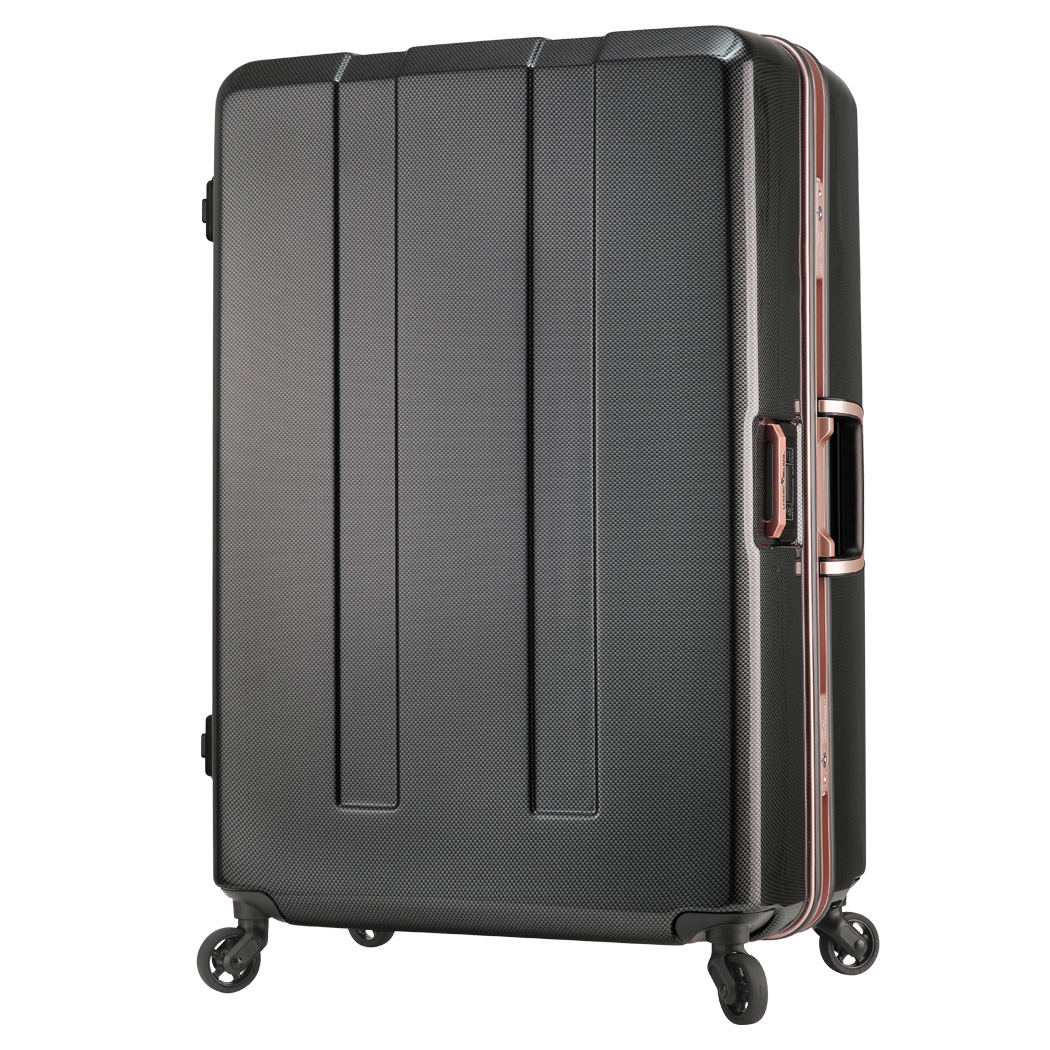 HARD CASE 6703